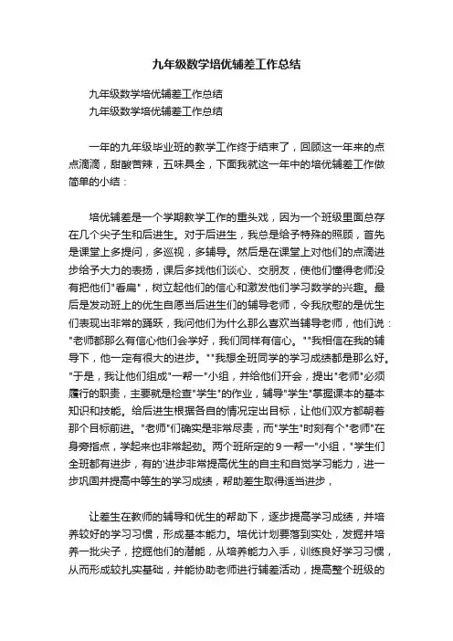 九年级数学培优辅差工作总结