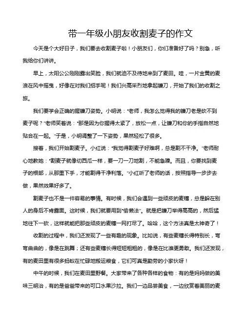 带一年级小朋友收割麦子的作文