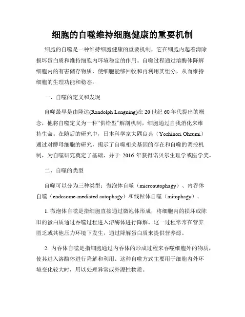 细胞的自噬维持细胞健康的重要机制