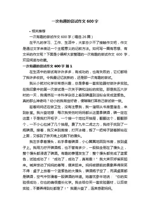 一次有趣的尝试作文600字