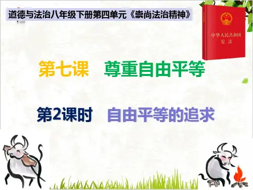 自由平等的追求课件(含思维导图)部编版课件道德与法治八年级下册