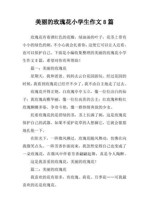 美丽的玫瑰花小学生作文8篇