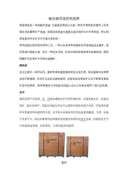硫化铜浮选药剂