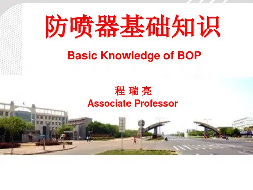 防喷器基础知识PPT课件