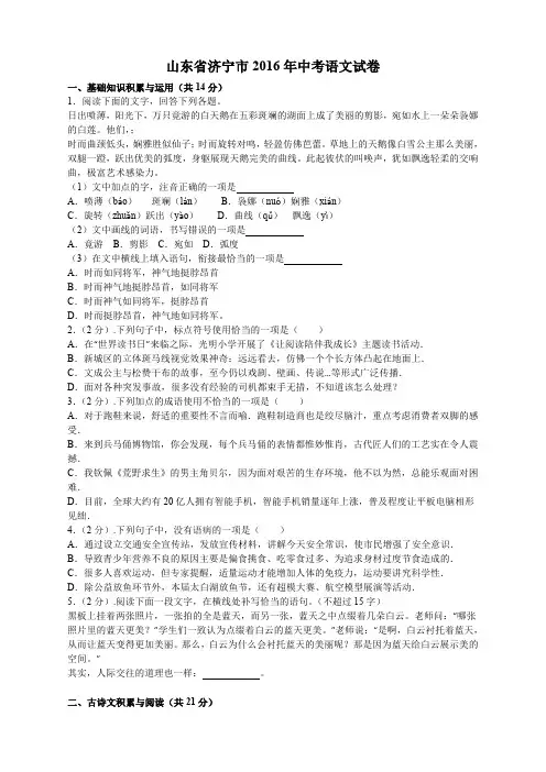 2016年山东省济宁市中考语文试题及答案解析