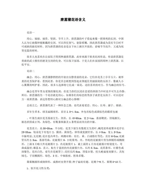 唐菖蒲花语含义