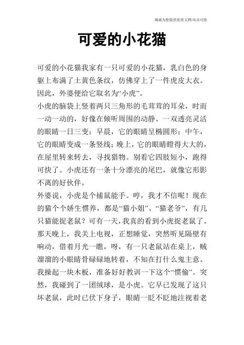 可爱的小花猫_1
