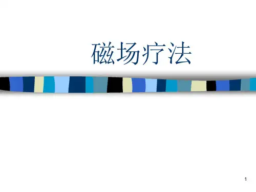 磁场疗法课件