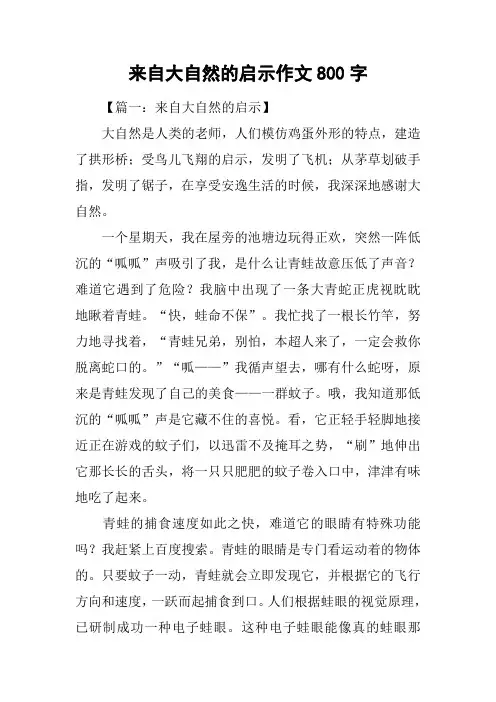 来自大自然的启示作文800字