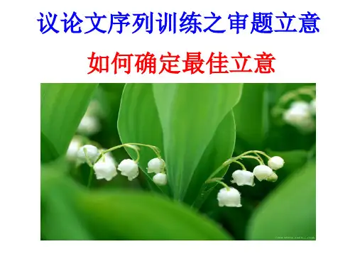 议论文序列训练之审题立意修改