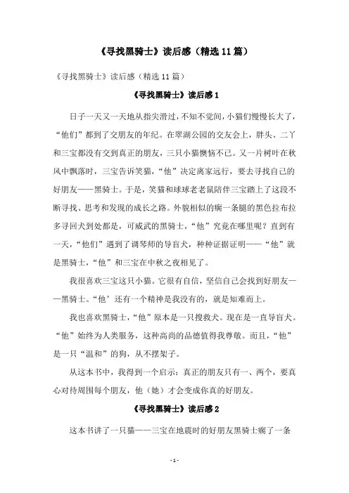 《寻找黑骑士》读后感(精选11篇)