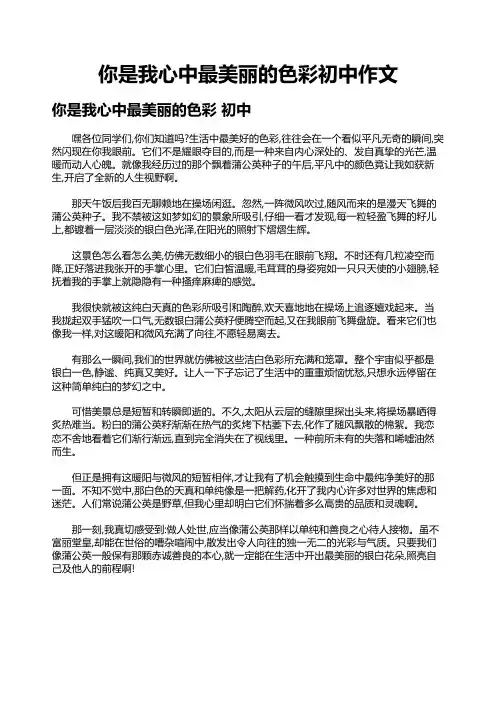 你是我心中最美丽的色彩初中作文