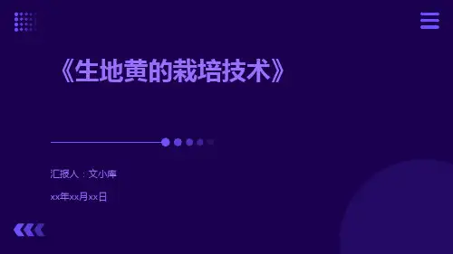 生地黄的栽培技术