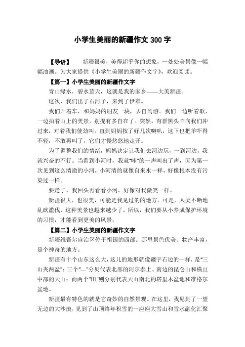 小学生美丽的新疆作文300字