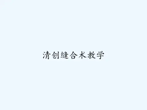 清创缝合术教学ppt