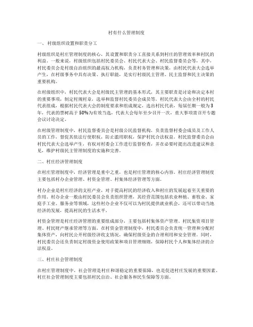 村有什么管理制度