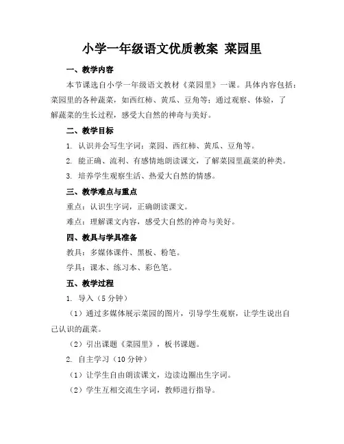 小学一年级语文优质教案菜园里