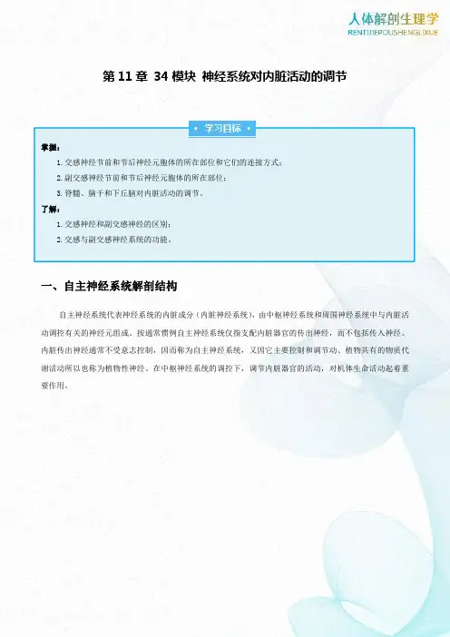 第11章34模块神经系统对内脏活动的调节