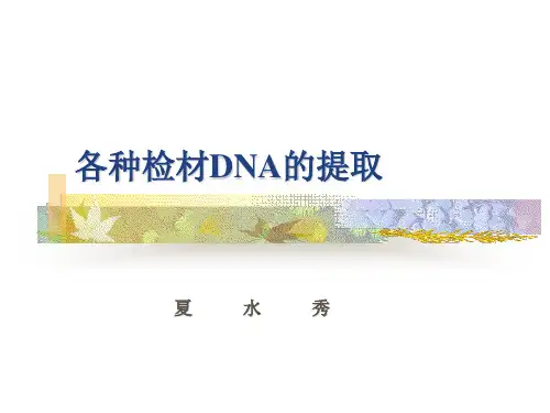 各种检材DNA的提取