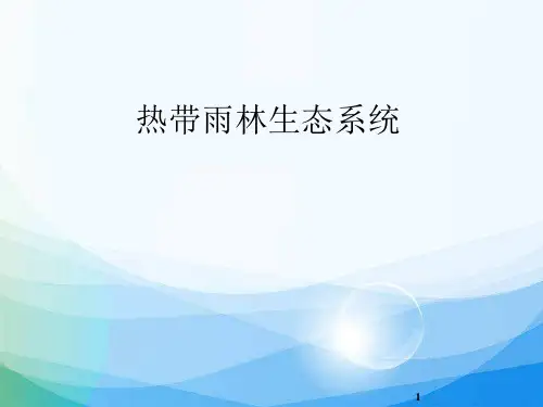 图片欣赏：热带雨林生态系统PPT课件