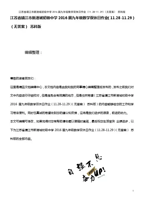新港城初级中学九年级数学双休日作业(11.28-11.29)(无答案) 苏科版(2021年整理)