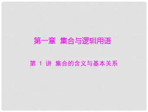 高考数学总复习 第一章 第1讲 集合的含义与基本关系课