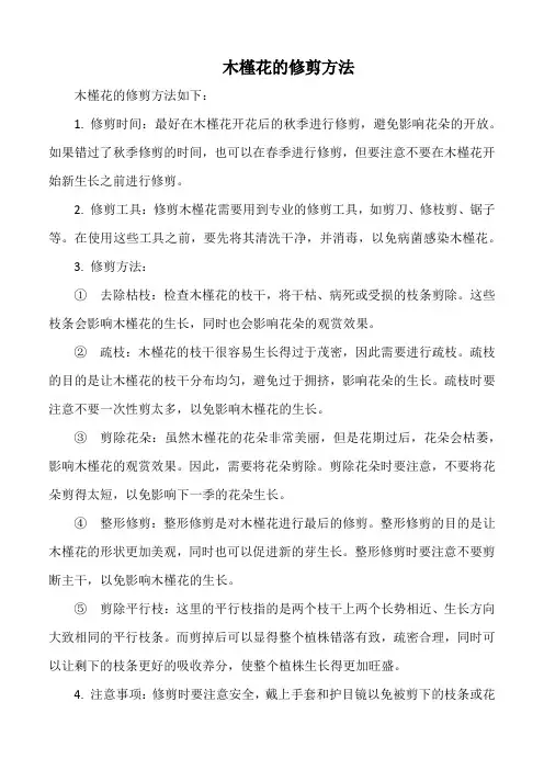 木槿花的修剪方法