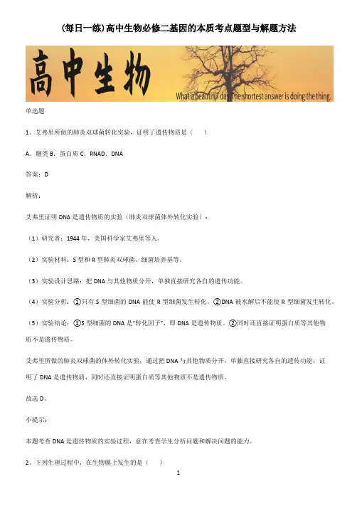 高中生物必修二基因的本质考点题型与解题方法