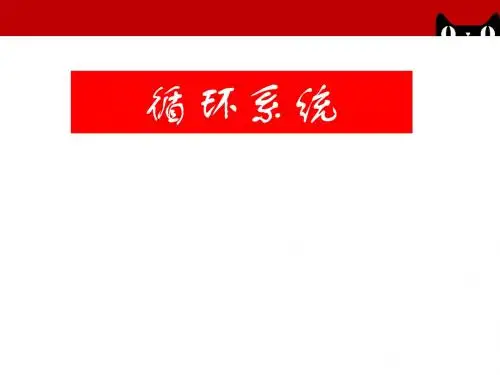 循环系统  ppt课件