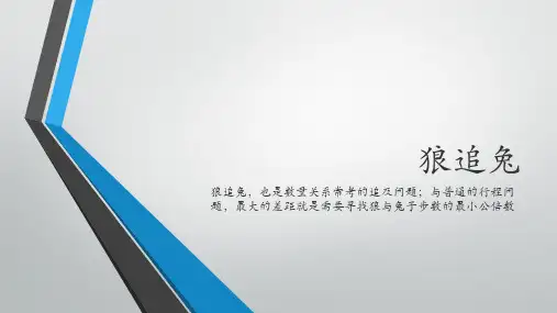 狼追兔-数量关系常考点