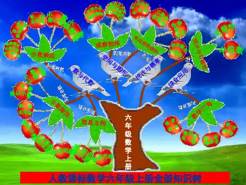六年级上册数学知识树