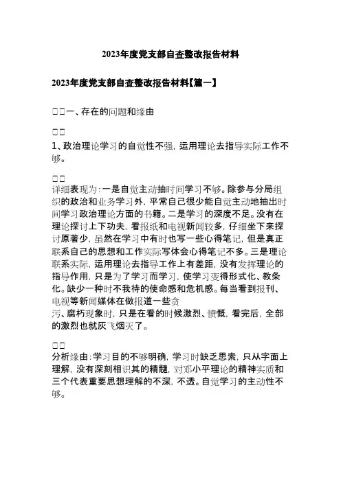 2023年度党支部自查整改报告材料