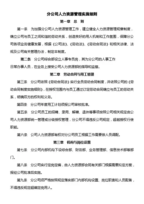 分公司人力资源管理实施细则
