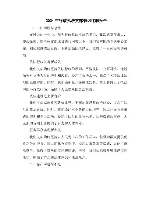 2024年行政执法支部书记述职报告