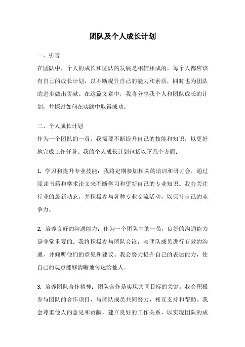 团队及个人成长计划