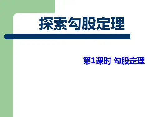 第1课时 勾股定理