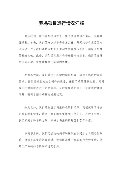 养鸡项目运行情况汇报