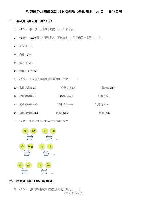 郫都区小升初语文知识专项训练(基础知识一)：2   音节C卷