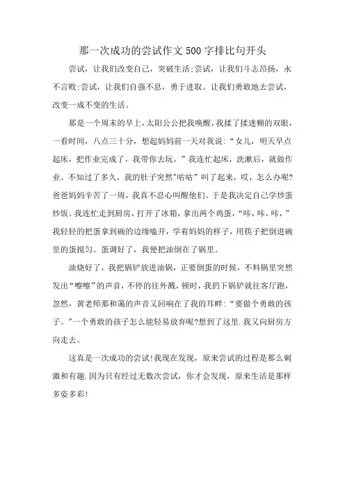 那一次成功的尝试作文500字排比句开头