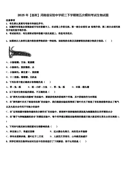 2025年【首发】河南省实验中学初三下学期第五次模拟考试生物试题含解析