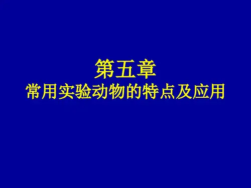 常用实验动物的特点及应用