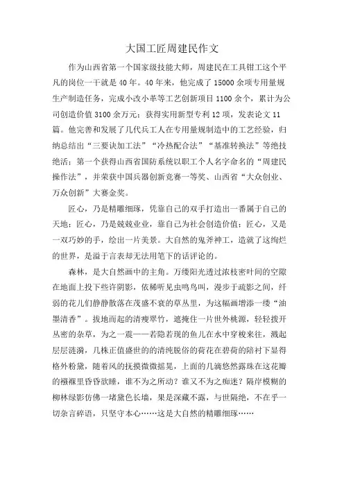大国工匠周建民作文