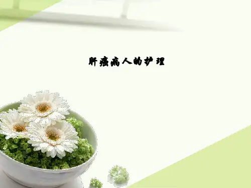 原发性肝癌的_护理