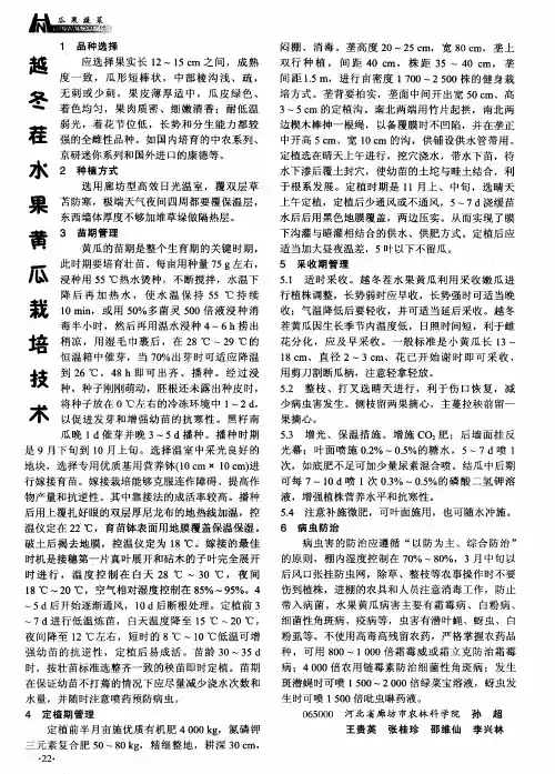 越冬茬水果黄瓜栽培技术