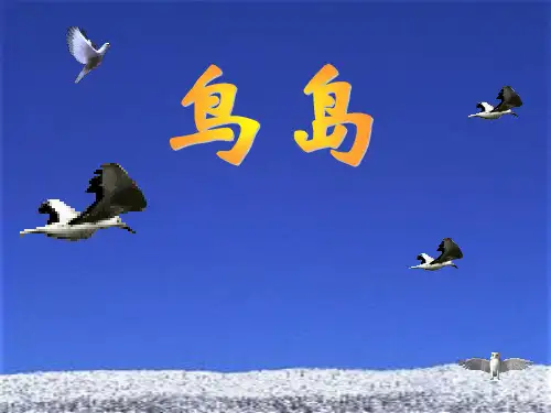鸟岛 PPT课件