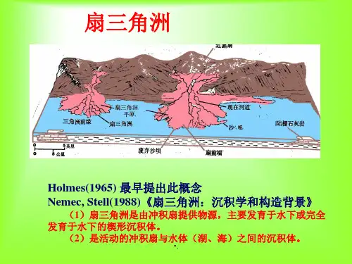 第六章扇三角洲体系