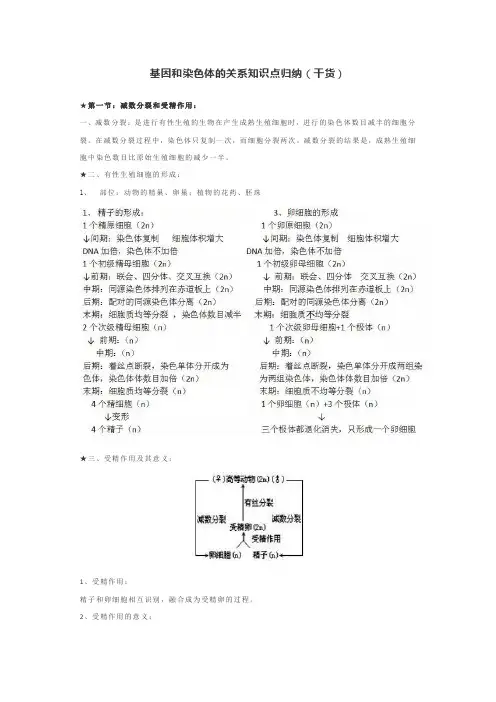 基因和染色体的关系知识点归纳