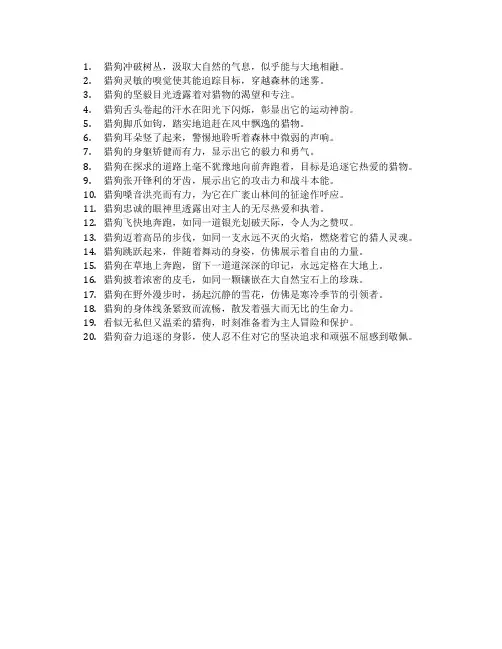 第七条猎狗好词好句