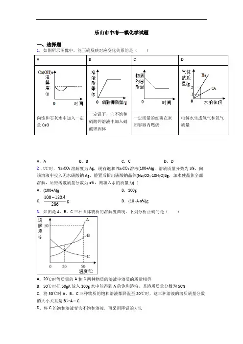 乐山市中考一模化学试题