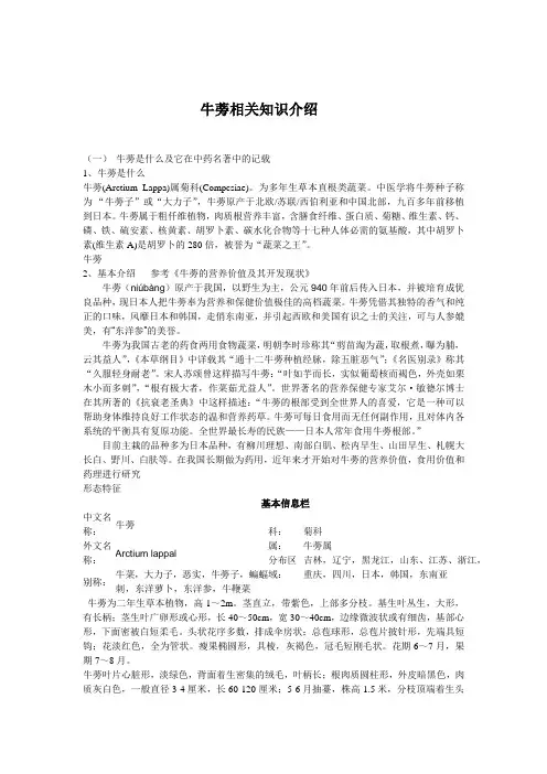 牛蒡相关知识介绍